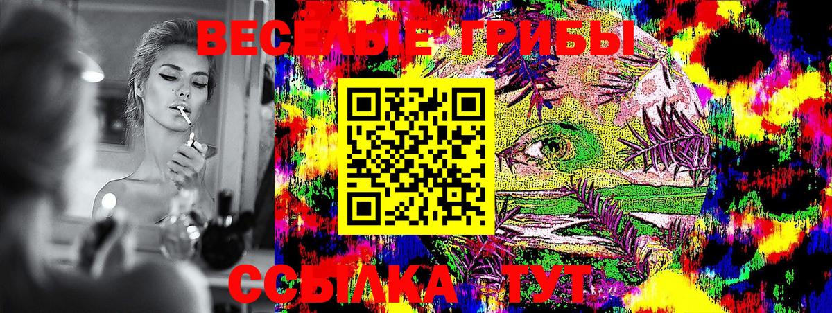 Псилоцибиновые грибы MAGIC MUSHROOMS  Вход с VPN  Таганрог 